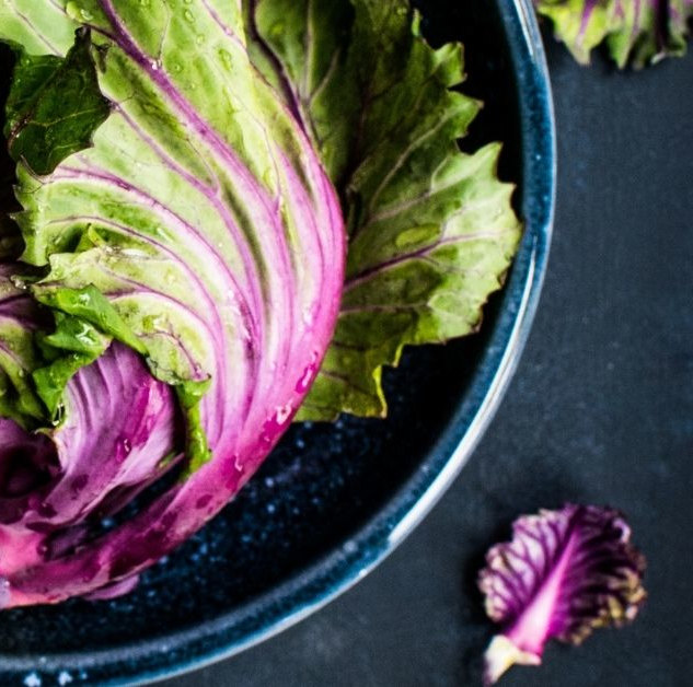 Foglie di insalata Trattoria dei cacciatori